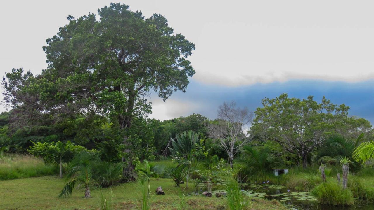 Lodge Umusa KwaMazambane المظهر الخارجي الصورة