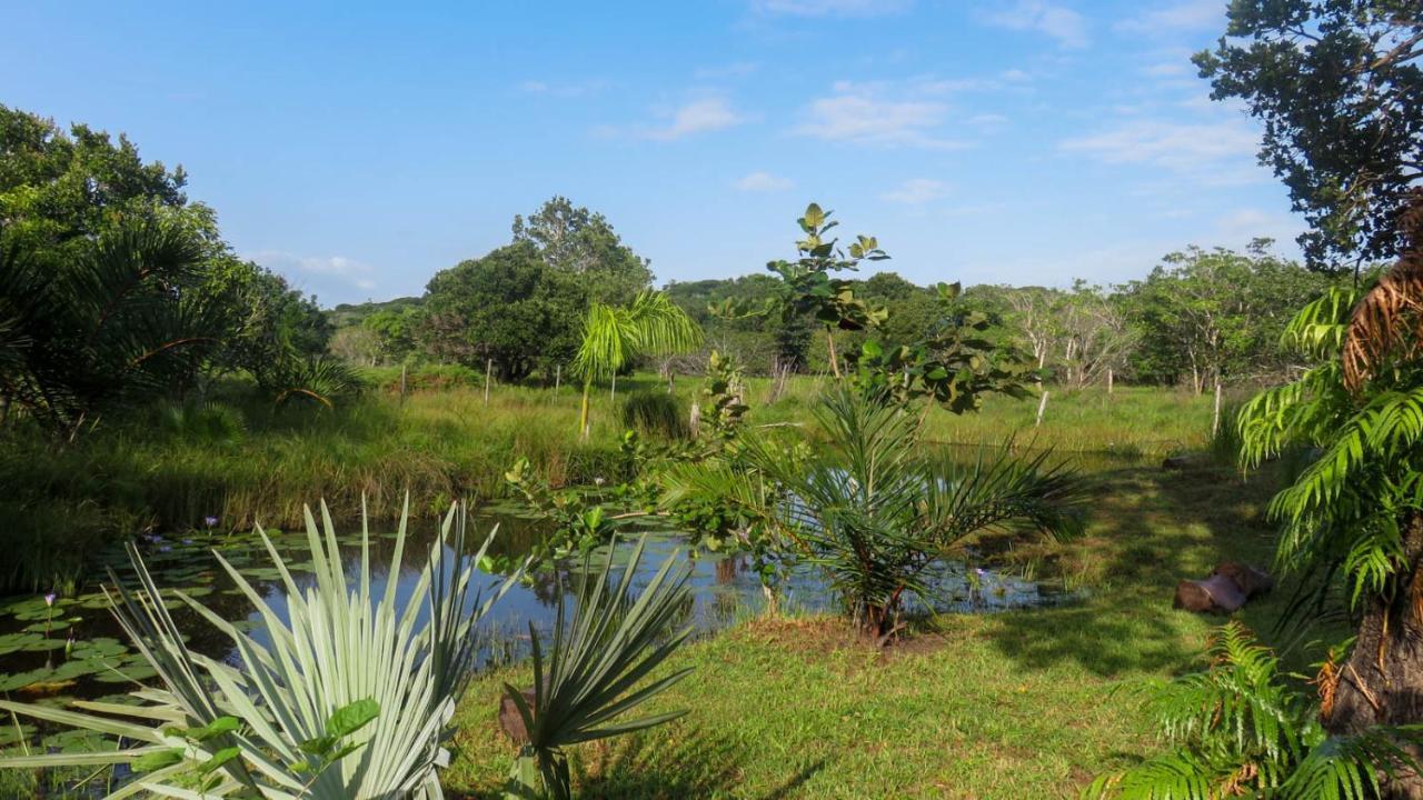 Lodge Umusa KwaMazambane المظهر الخارجي الصورة